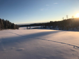 Mehr über den Artikel erfahren Loipen für Skilanglauf